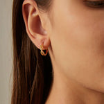 Load image into Gallery viewer, Cross circle Earrings